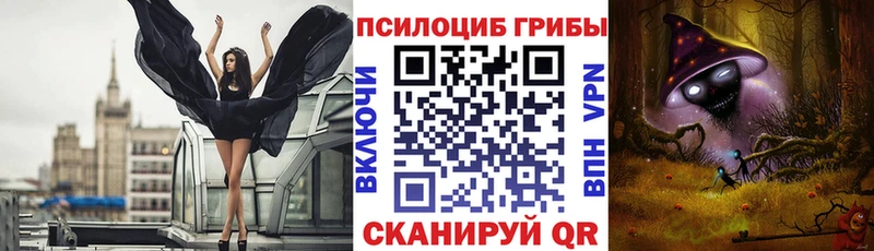 Псилоцибиновые грибы ЛСД  Купить закладки  Шимановск 